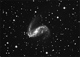 ngc2442