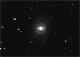 ngc3351